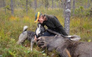 Veterinär i Strömsund/Jämtland