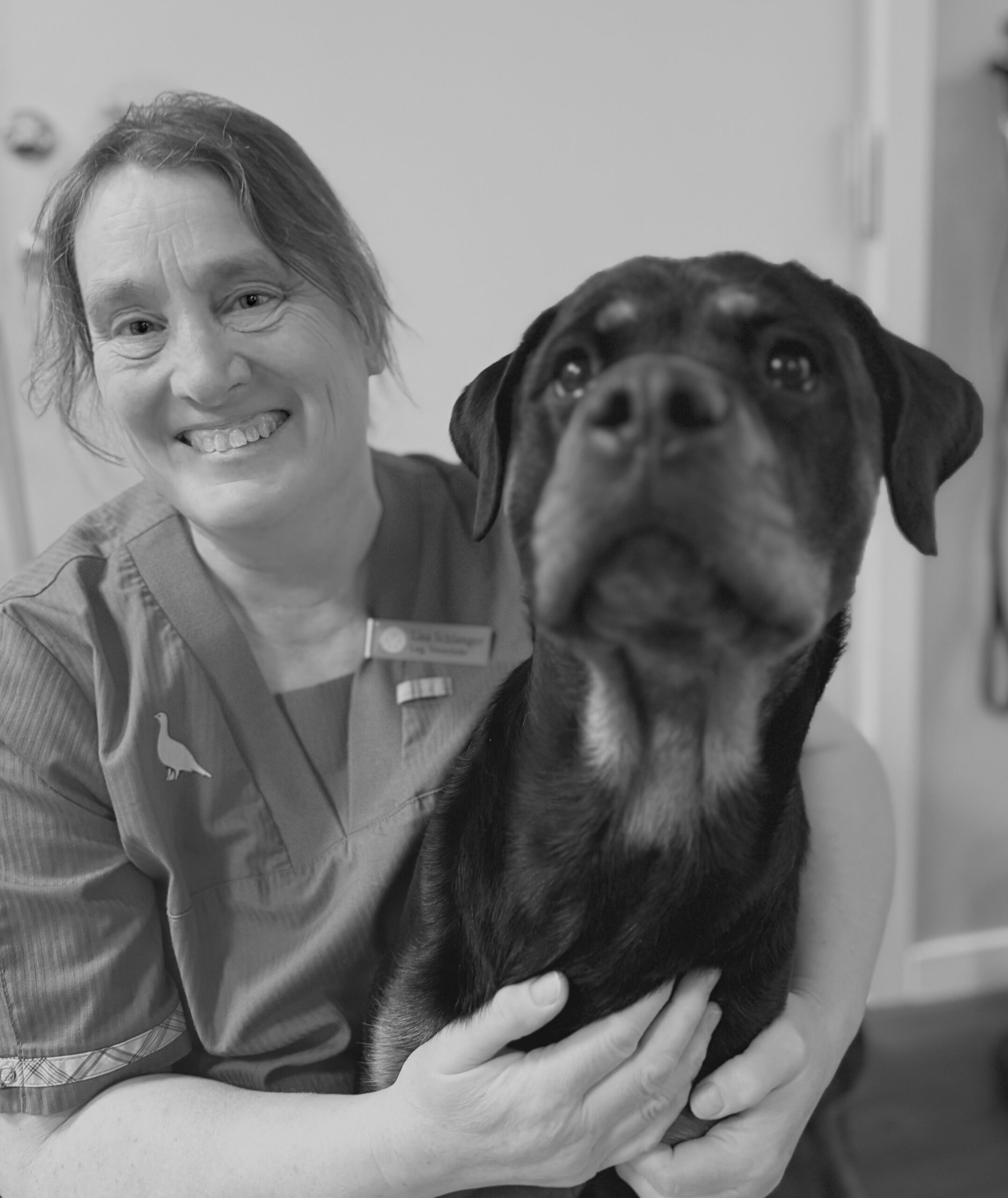 Kirurg och tandläkare Lisa Schlanger (konsult)